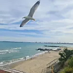 Beige-a-view, F2 - Sea Dreams, Święty Włas