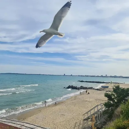 Beige-a-view, F2 - Sea Dreams, Sveti Vlas