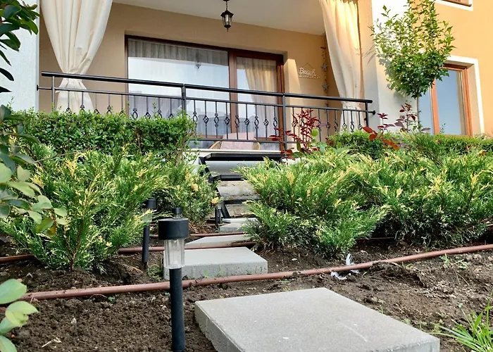 Beige-a-view, Sea Dreams *